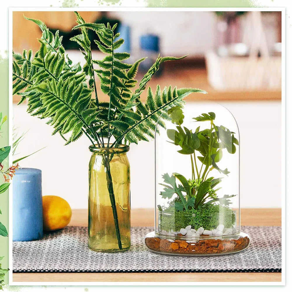 Terrarium Plante Cloche en Verre avec  Base
