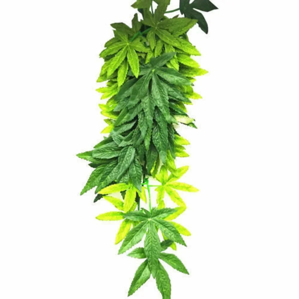 Plante Terrarium Vigne Suspendue Résine
