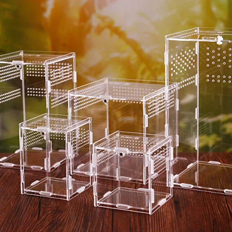 Terrarium Acrylique – Boîte d'Élevage Reptiles Transparent