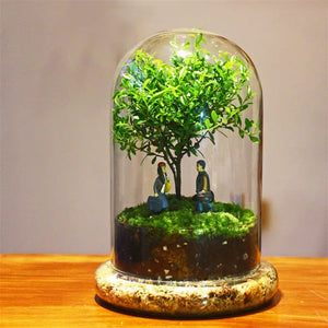 Terrarium Plante Dôme Verre Borosilicate Artisanal Européen
