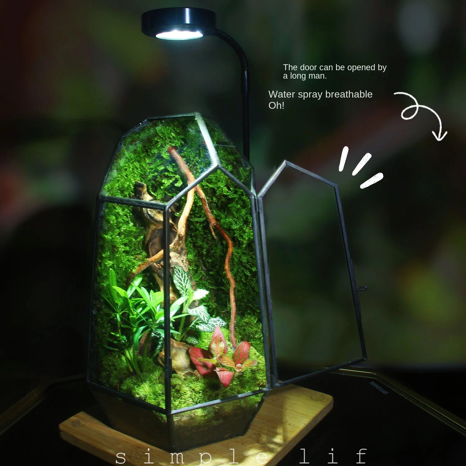 Terrarium Plante Verre et Cuivre Fait Main Style Vintage - VIVARIUM PRO