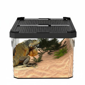 Terrarium d'Alimentation Reptiles – Double Porte Magnétique