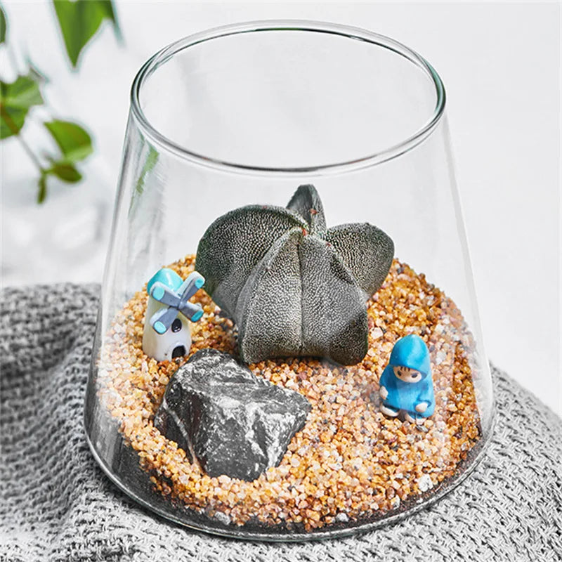 Terrarium Plante en Verre Borosilicate