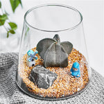 Terrarium Plante en Verre Borosilicate