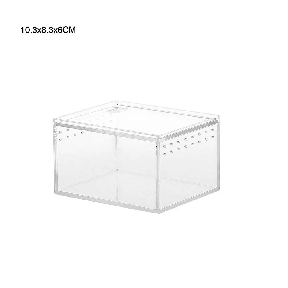 Boîte d'Élevage Reptiles Acrylique – Terrarium Transparent Multifonction