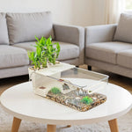 Terrarium Tortue avec Zone de Lézardage
