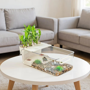 Terrarium Tortue avec Zone de Lézardage