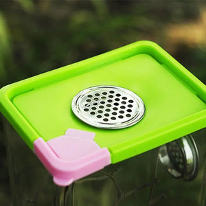 Boîte d'Élevage Reptiles Acrylique – Terrarium Ventilé