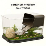 Terrarium Plastique Transparent pour Plantes et Invertébrés - VIVARIUM PRO