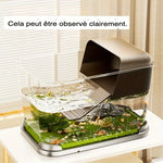 Terrarium Plastique Transparent pour Plantes et Invertébrés - VIVARIUM PRO