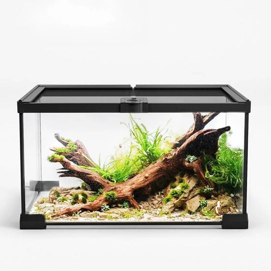 Aquarium Terrarium 2 en 1 – Bac Verre Transparent - VIVARIUM PRO