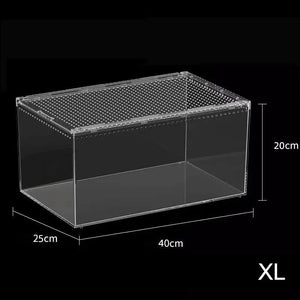 Boîte d'Alimentation Reptiles et Insectes – Terrarium Acrylique