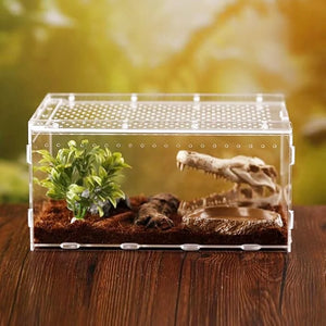Boîte d'Alimentation Reptiles et Insectes – Terrarium Acrylique