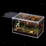 Boîte d'Alimentation Reptiles et Insectes – Terrarium Acrylique