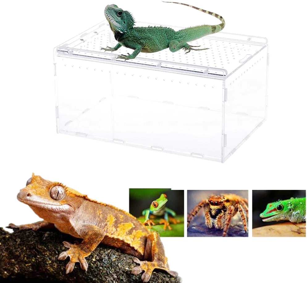 Boîte d'Alimentation Reptiles et Insectes – Terrarium Acrylique