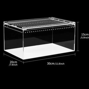 Boîte d'Alimentation Reptiles et Insectes – Terrarium Acrylique