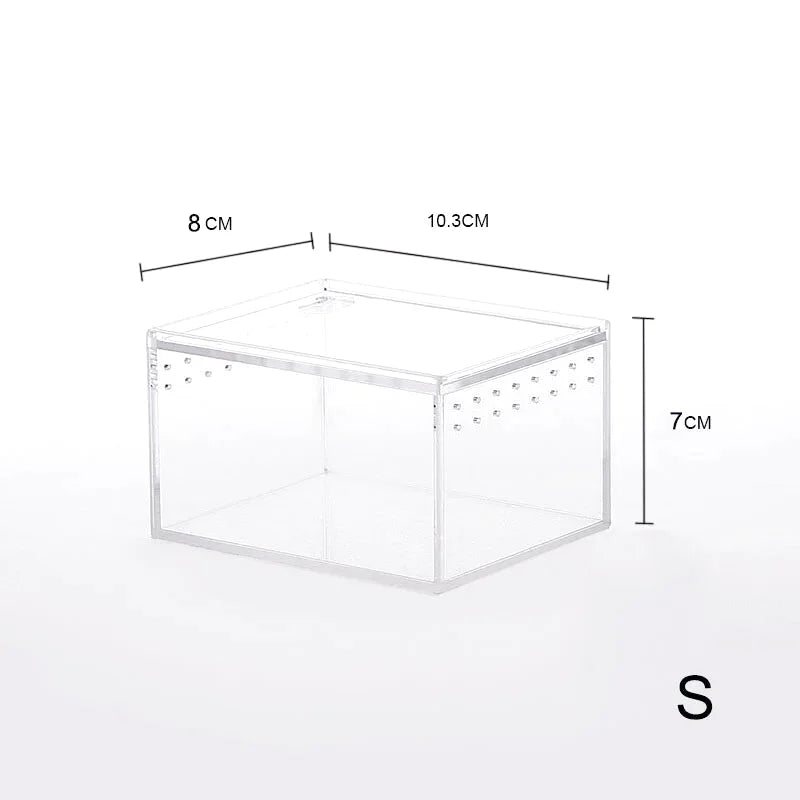 Boîte d'Alimentation Reptiles et Insectes – Terrarium Acrylique