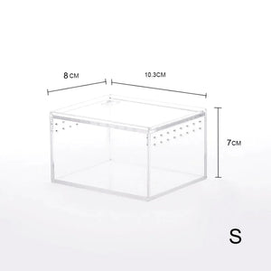 Boîte d'Alimentation Reptiles et Insectes – Terrarium Acrylique