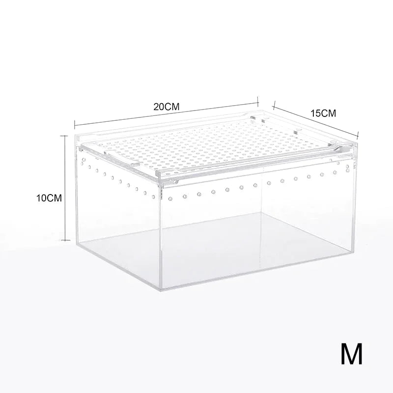 Boîte d'Alimentation Reptiles et Insectes – Terrarium Acrylique