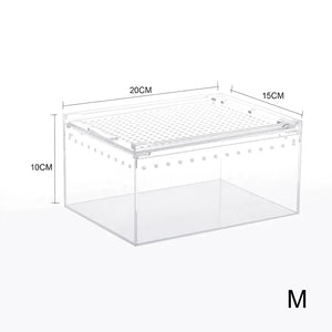 Boîte d'Alimentation Reptiles et Insectes – Terrarium Acrylique