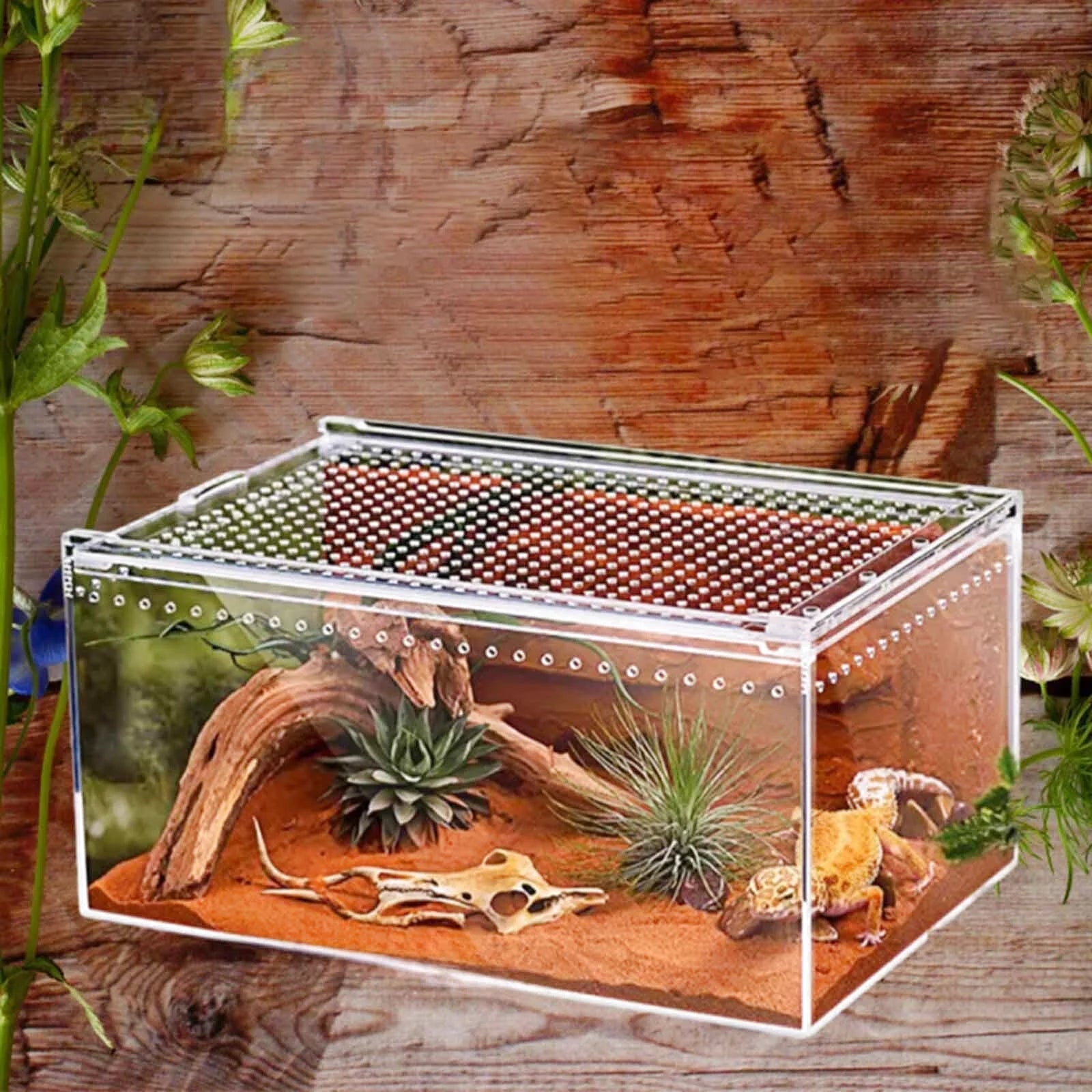 Boîte d'Alimentation Reptiles et Insectes – Terrarium Acrylique