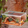 Boîte d'Alimentation Reptiles et Insectes – Terrarium Acrylique