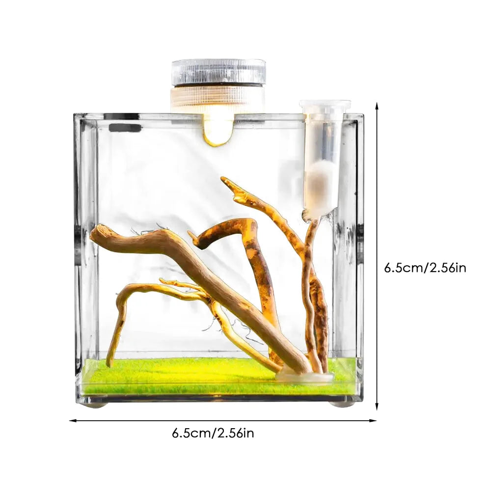 Boîte d'Élevage pour Reptiles et Insectes – Terrarium Acrylique Transparent