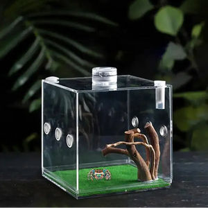 Boîte d'Élevage pour Reptiles et Insectes – Terrarium Acrylique Transparent