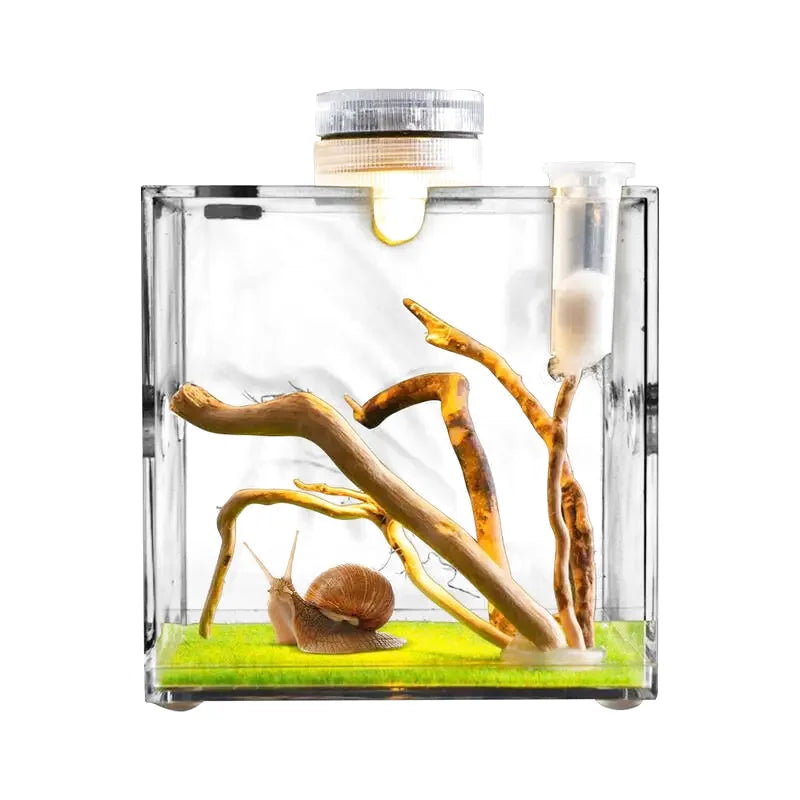 Boîte d'Élevage pour Reptiles et Insectes – Terrarium Acrylique Transparent