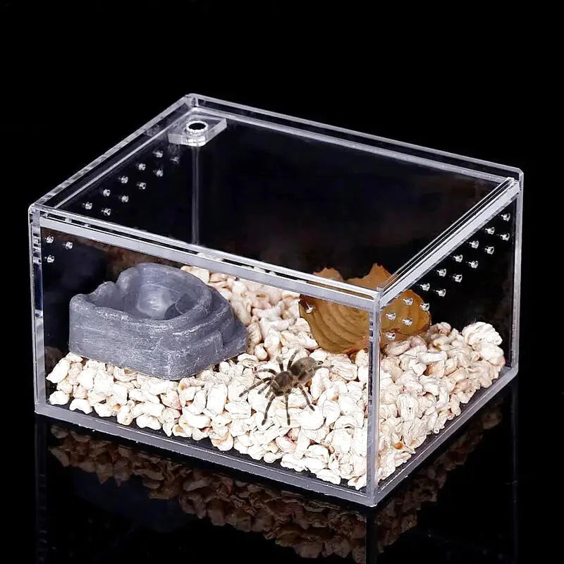 Boîte d'Élevage Reptiles Acrylique – Terrarium Transparent Multifonction