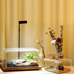 Boîte d'Élevage Reptiles Acrylique – Terrarium Transparent Multifonction