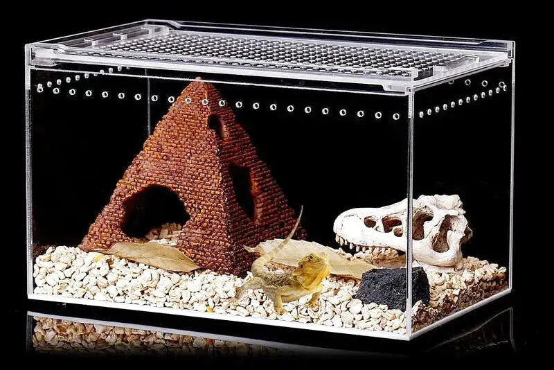 Boîte d'Élevage Reptiles Acrylique – Terrarium Transparent Multifonction