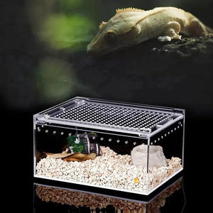Boîte d'Élevage Reptiles Acrylique – Terrarium Transparent Multifonction