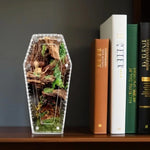 Terrarium Acrylique 360 Degrés