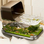 Terrarium Plastique Transparent pour Plantes et Invertébrés - VIVARIUM PRO