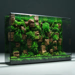 Terrarium Plante Géométrique Verre Métal pour Écosystème Tropical - VIVARIUM PRO