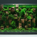 Terrarium Plante Géométrique Verre Métal pour Écosystème Tropical - VIVARIUM PRO