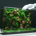 Terrarium Plante Géométrique Verre Métal pour Écosystème Tropical - VIVARIUM PRO