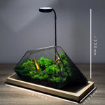 Terrarium Plante Microscopique Verre Métal Design Moderne - VIVARIUM PRO