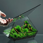 Terrarium Plante Microscopique Verre Métal Design Moderne - VIVARIUM PRO