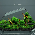 Terrarium Plante Microscopique Verre Métal Design Moderne - VIVARIUM PRO