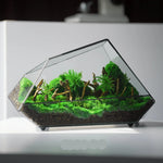 Terrarium Plante Microscopique Verre Métal Design Moderne - VIVARIUM PRO