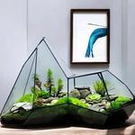Terrarium Plante Microscopique Verre Métal Soudé Main - VIVARIUM PRO