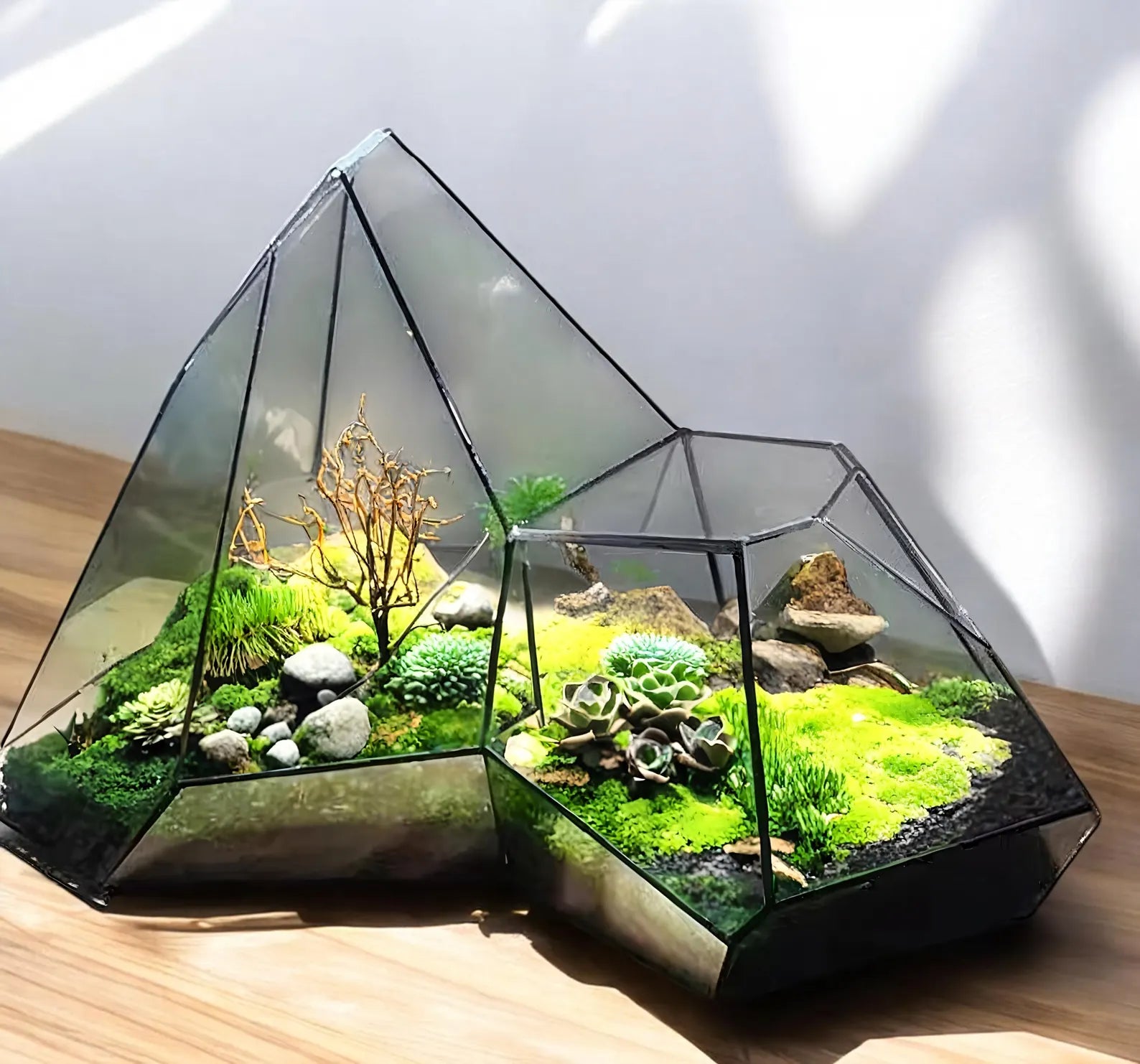Terrarium Plante Microscopique Verre Métal Soudé Main - VIVARIUM PRO