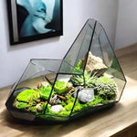 Terrarium Plante Microscopique Verre Métal Soudé Main - VIVARIUM PRO
