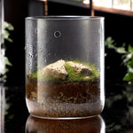 Terrarium Plante en Verre avec Couvercle Anti-Condensation - VIVARIUM PRO