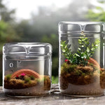 Terrarium Plante en Verre avec Couvercle Anti-Condensation - VIVARIUM PRO