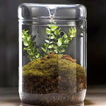 Terrarium Plante en Verre avec Couvercle Anti-Condensation - VIVARIUM PRO