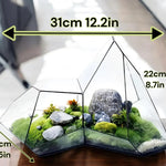 Terrarium Plante Microscopique Verre Métal Soudé Main - VIVARIUM PRO