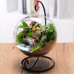 Terrarium Plante Suspendu en Verre avec Support Décoratif - VIVARIUM PRO